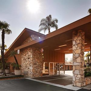 Best Western Pine Tree Motel